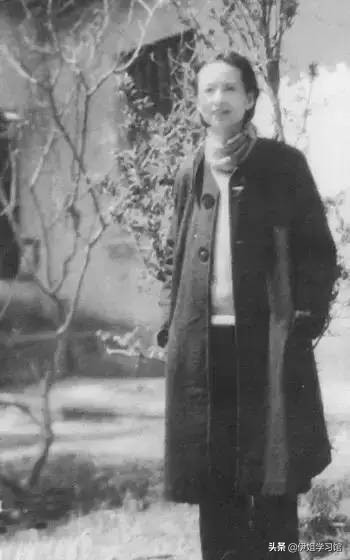 重读梁从诫《我的母亲林徽因》，支持和理解并深深热爱