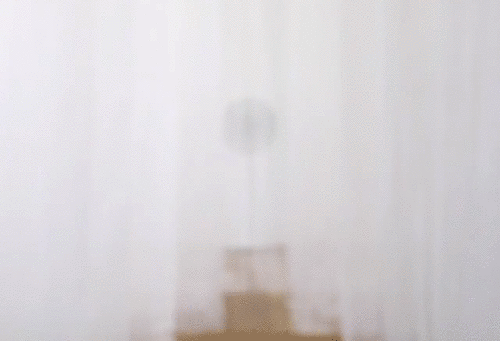 进口电风扇品牌图片（日本巴慕达果岭风扇）图集展示，不可仿冒。