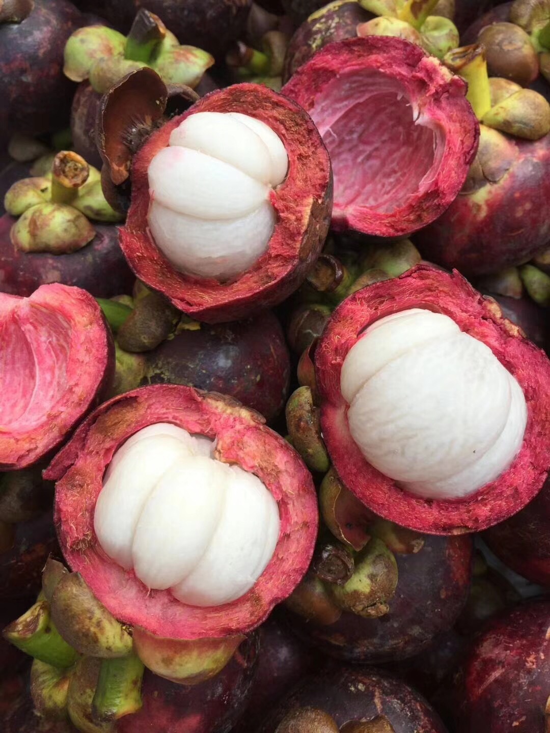 吃山竹的禁忌 哪六种人不宜吃山竹-蟋蟀号,争做互联网的一股清流