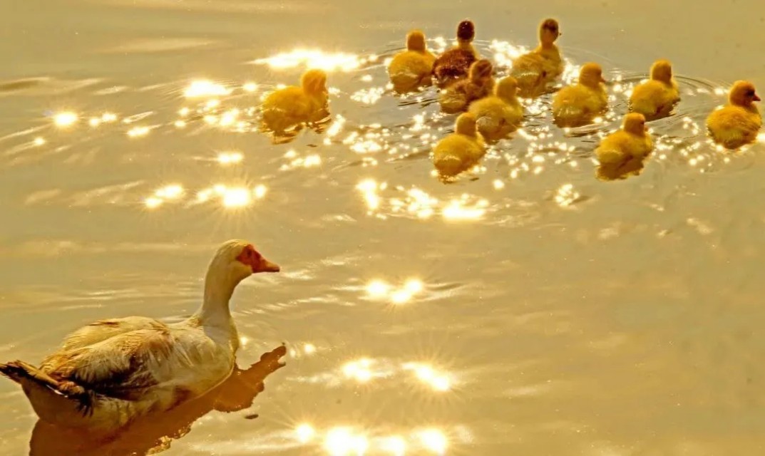 向往的大外 | 打卡大外网红景点