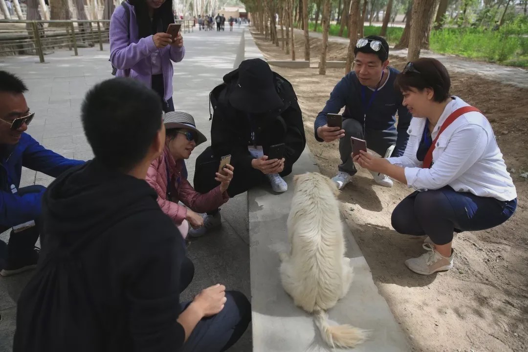 莫高学堂·乐乐茶咖馥园｜流淌在千年莫高的氤氲咖啡香