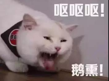 5000亿细菌不得不防！10款洗碗布测评：这条速干、吸油却不沾油