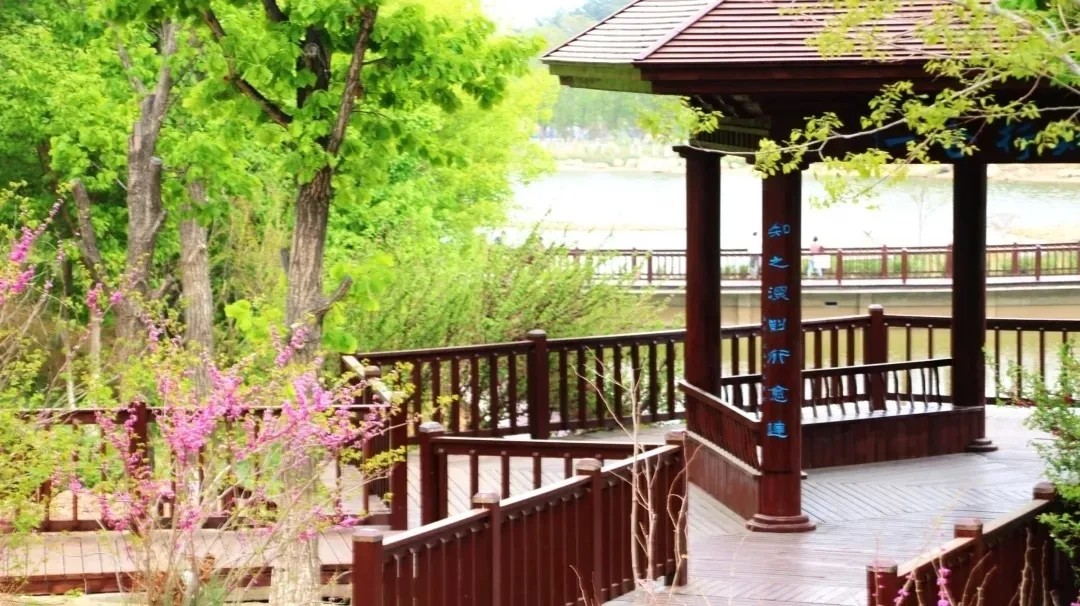 向往的大外 | 打卡大外网红景点