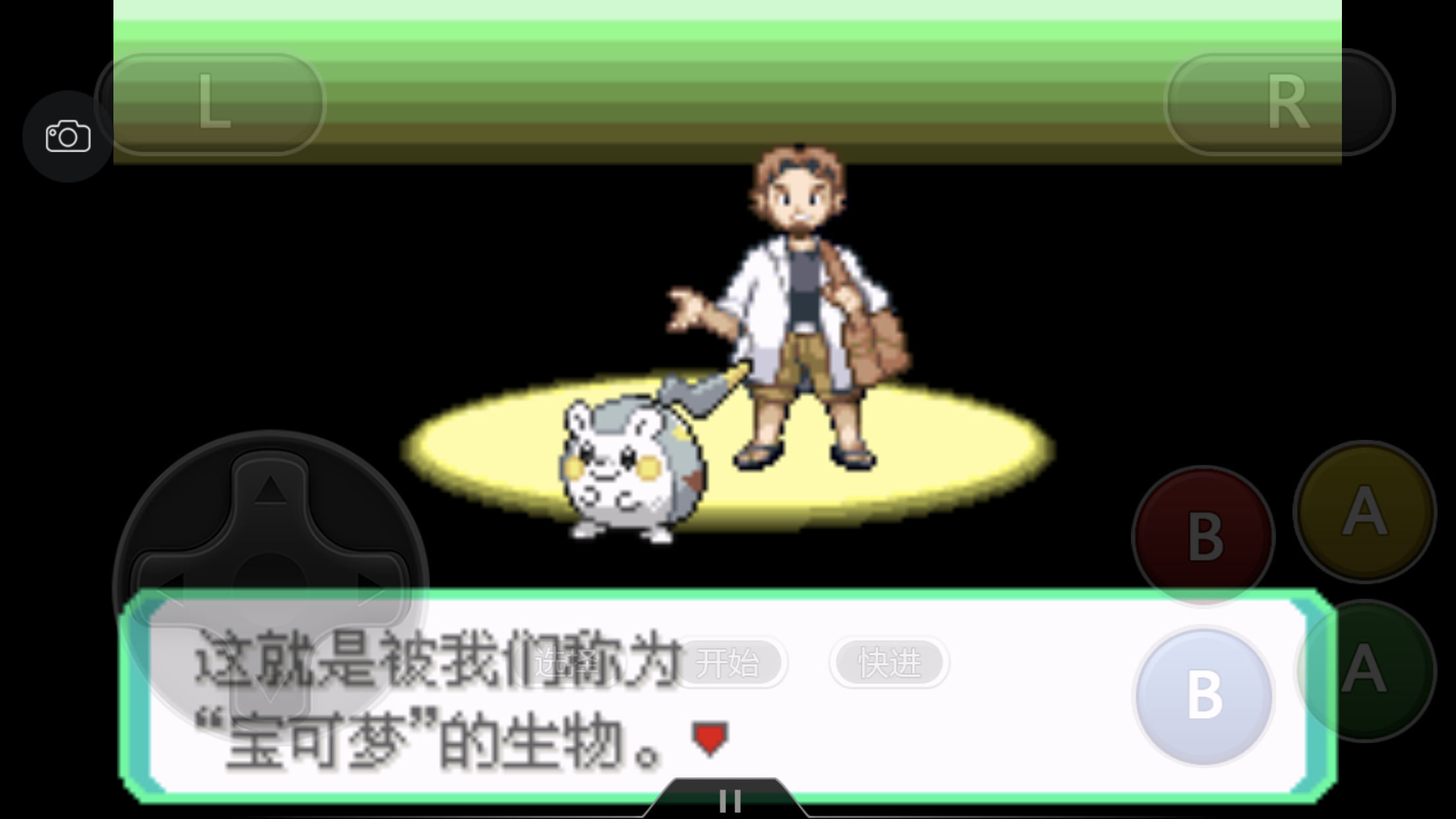 《口袋妖怪之究极绿宝石4》一周目攻略（一）