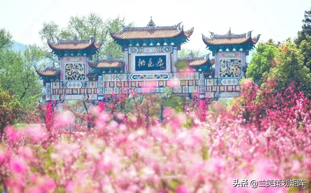 诗情桃花源 | 此生，只为你盛开这朵桃
