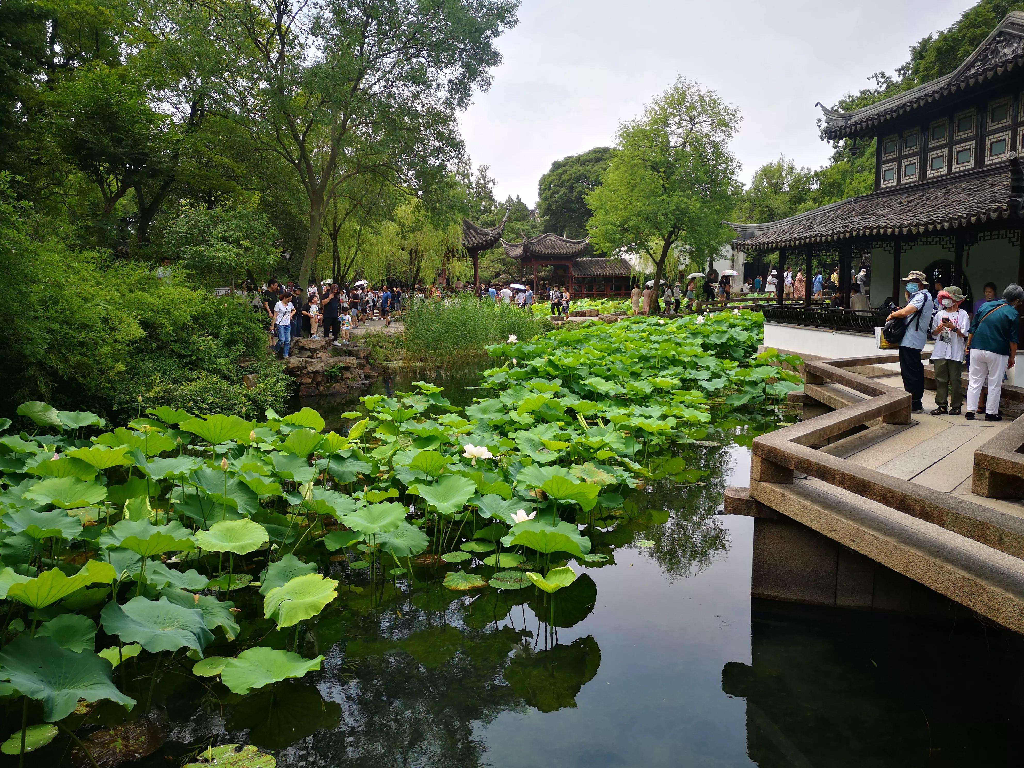 江苏旅游第一站——苏州园林之拙政园，中国古典园林的代表