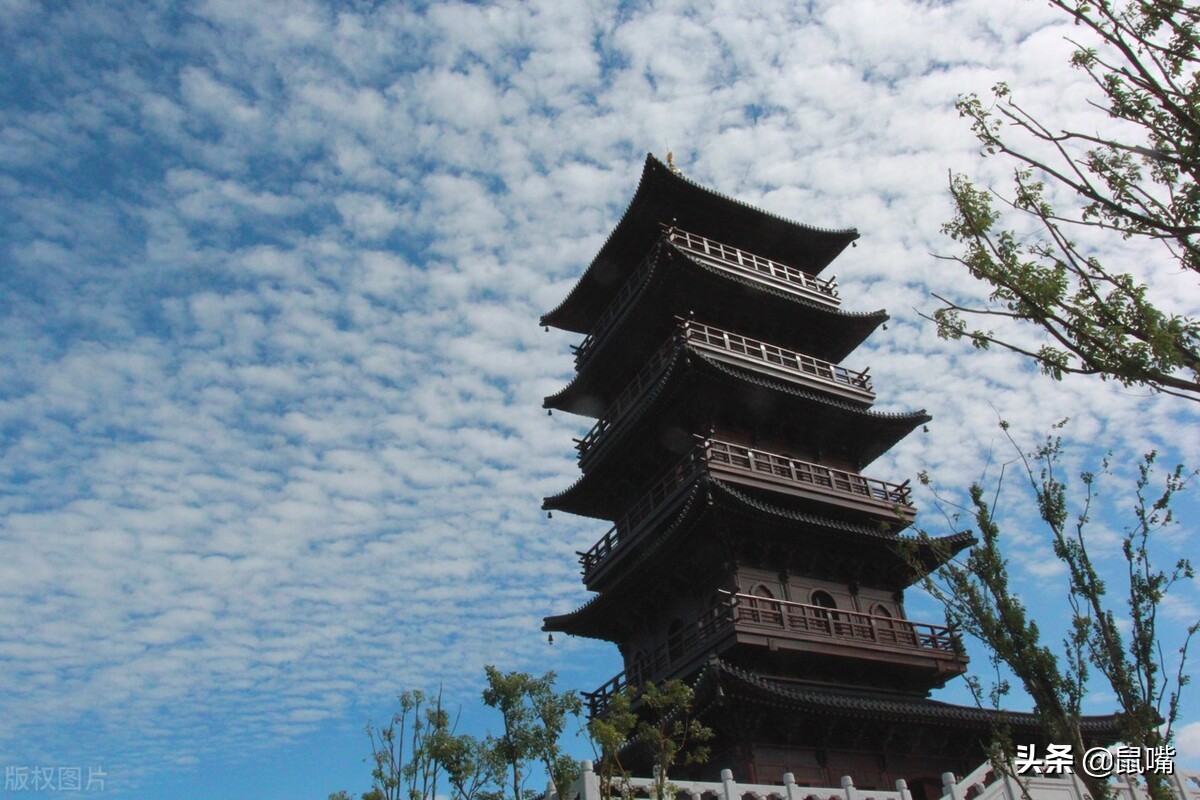 《史记》原文 译文（五十九）