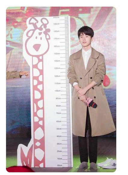 张杰身高多少真实(明明是大高个,却被误会成矮个的8个男星,一个比一个