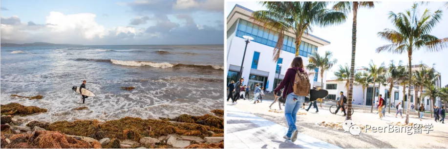 美国前30里，哪所大学不仅录取友好、强势学科还齐全？