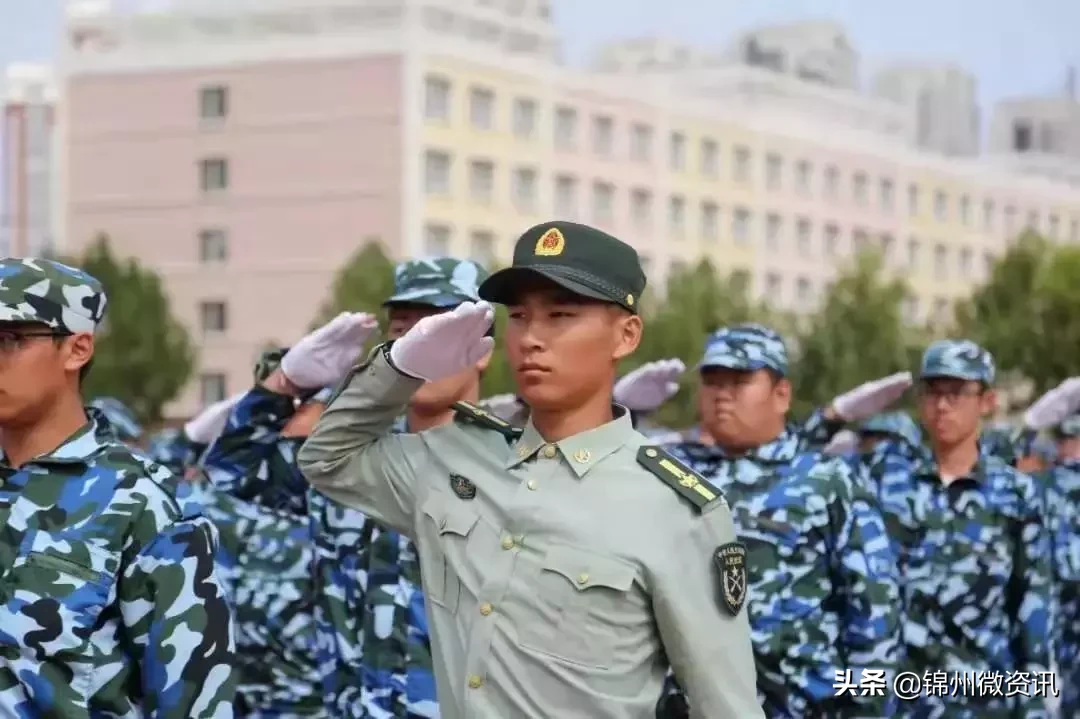 锦州辽宁理工职业学院！我走进大学生活