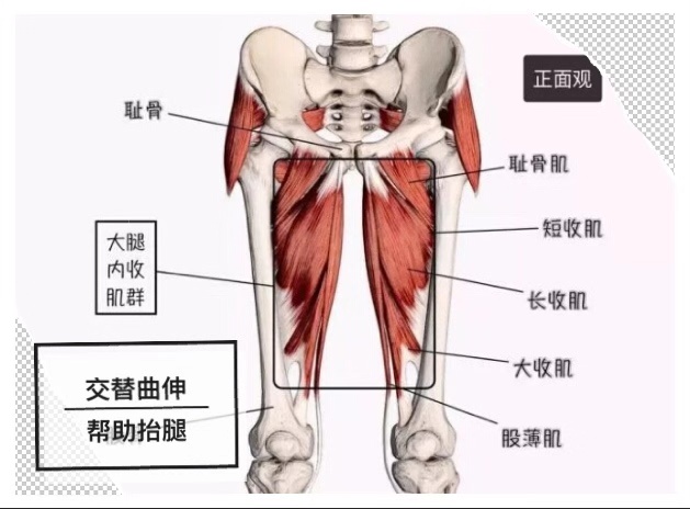 37岁陈意涵的少女腿又吸睛！常练的抬腿瑜伽效果到底有多好？