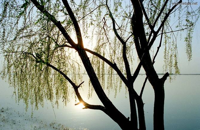 扬州慢 · 淮左名都