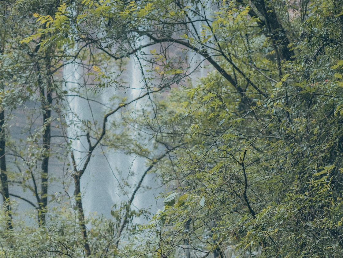 城市太热不如回归大自然避暑？重庆江津四面山非去不可