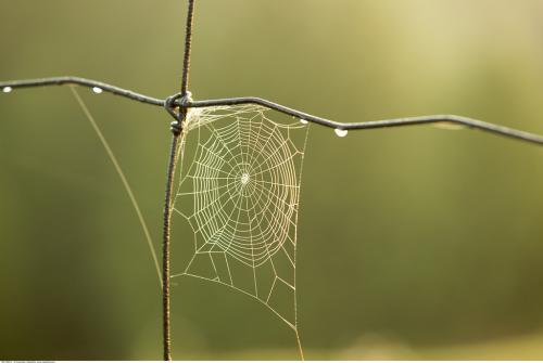 千古佳话，一字说尽，分享十个与一字相关的小故事