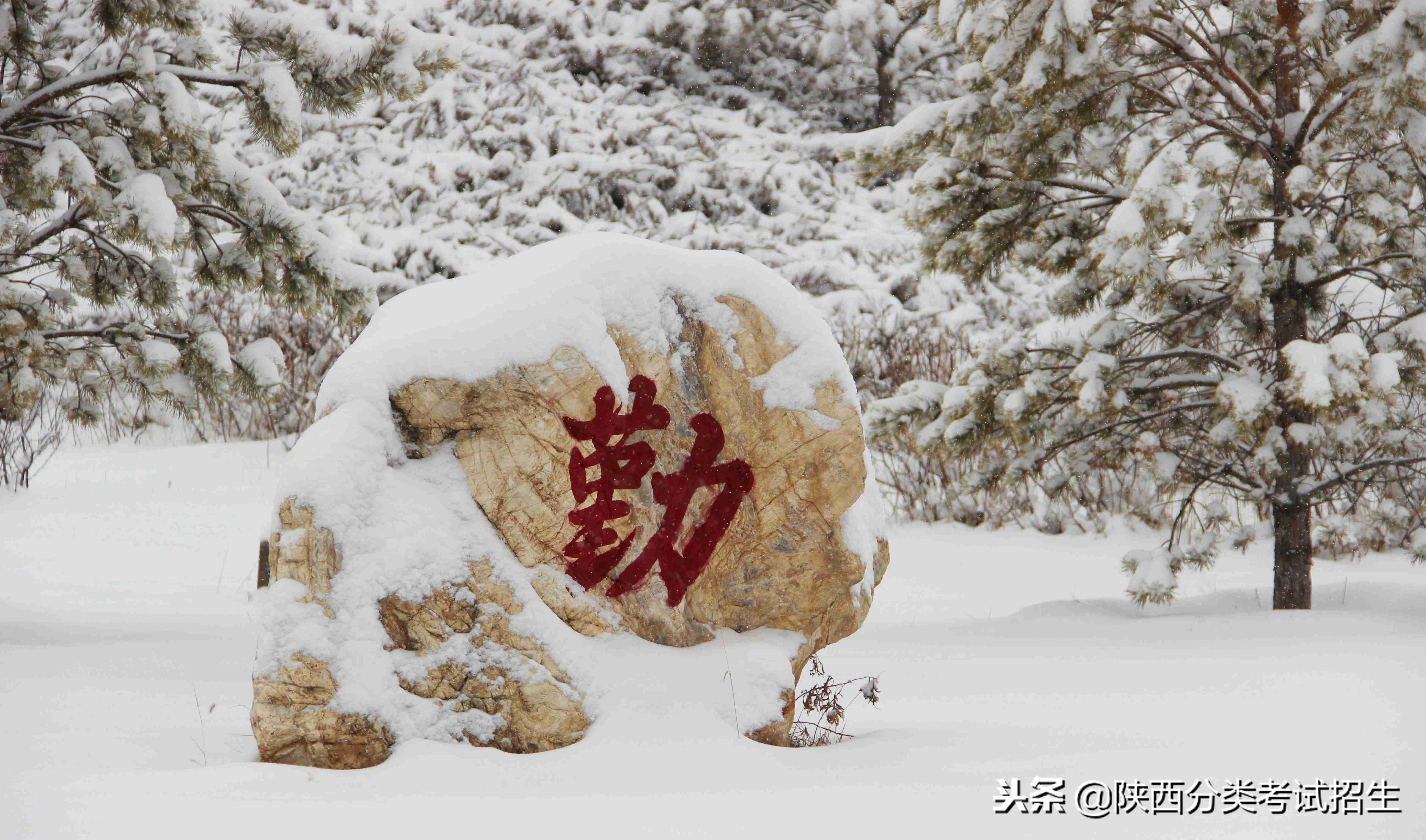 魅丽校园行之-榆林职业技术学院
