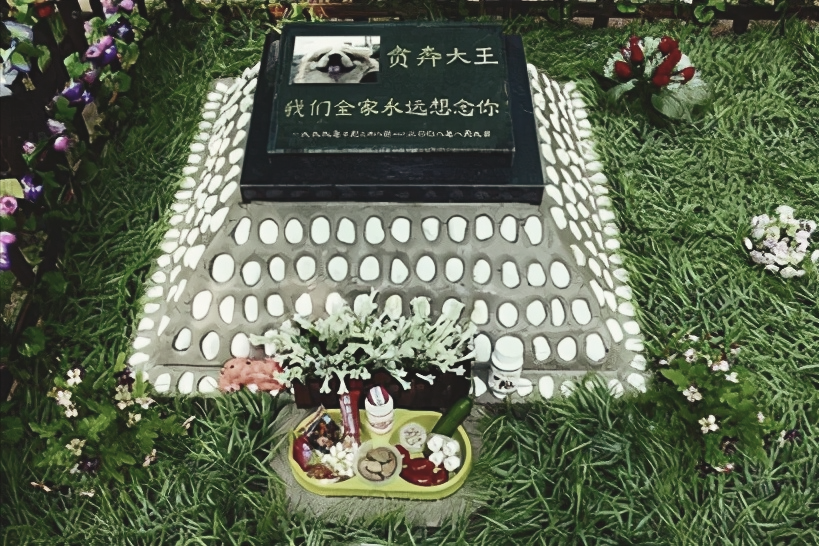 宠物殡葬：愿它们体面离开，但是谁在啃这块最后的“尸体蛋糕”？