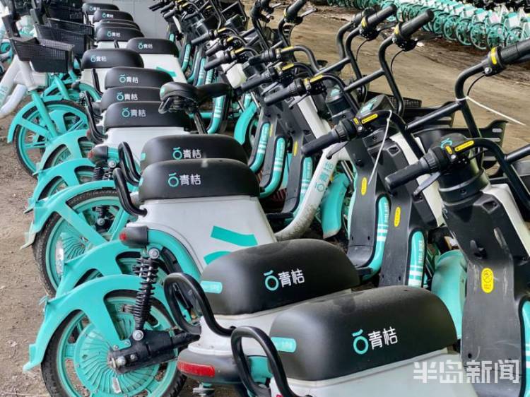 半岛独家丨太壮观！数千辆共享电动自行车藏身立交桥下！网友发问：危险不？车牌呢？