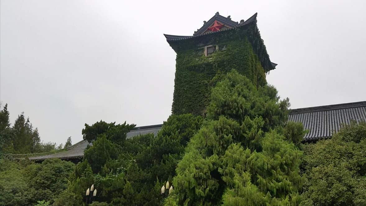 厉害了！南京大学布局安徽省，为何选址在天长市？