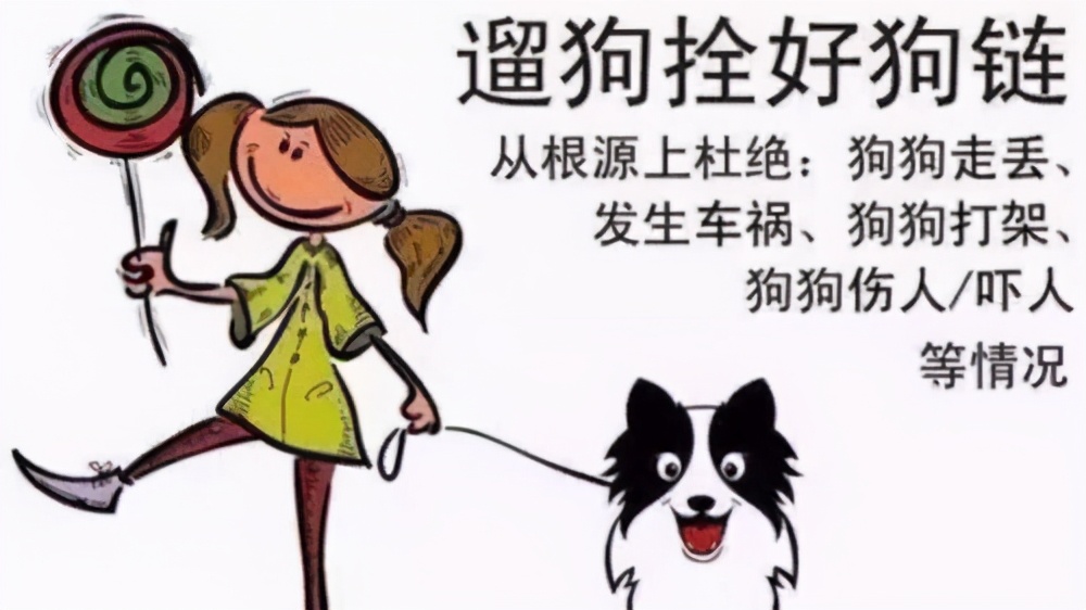 拿命控诉遛狗不牵绳！湖北女子跳楼自杀，被老太围追辱骂近两个月