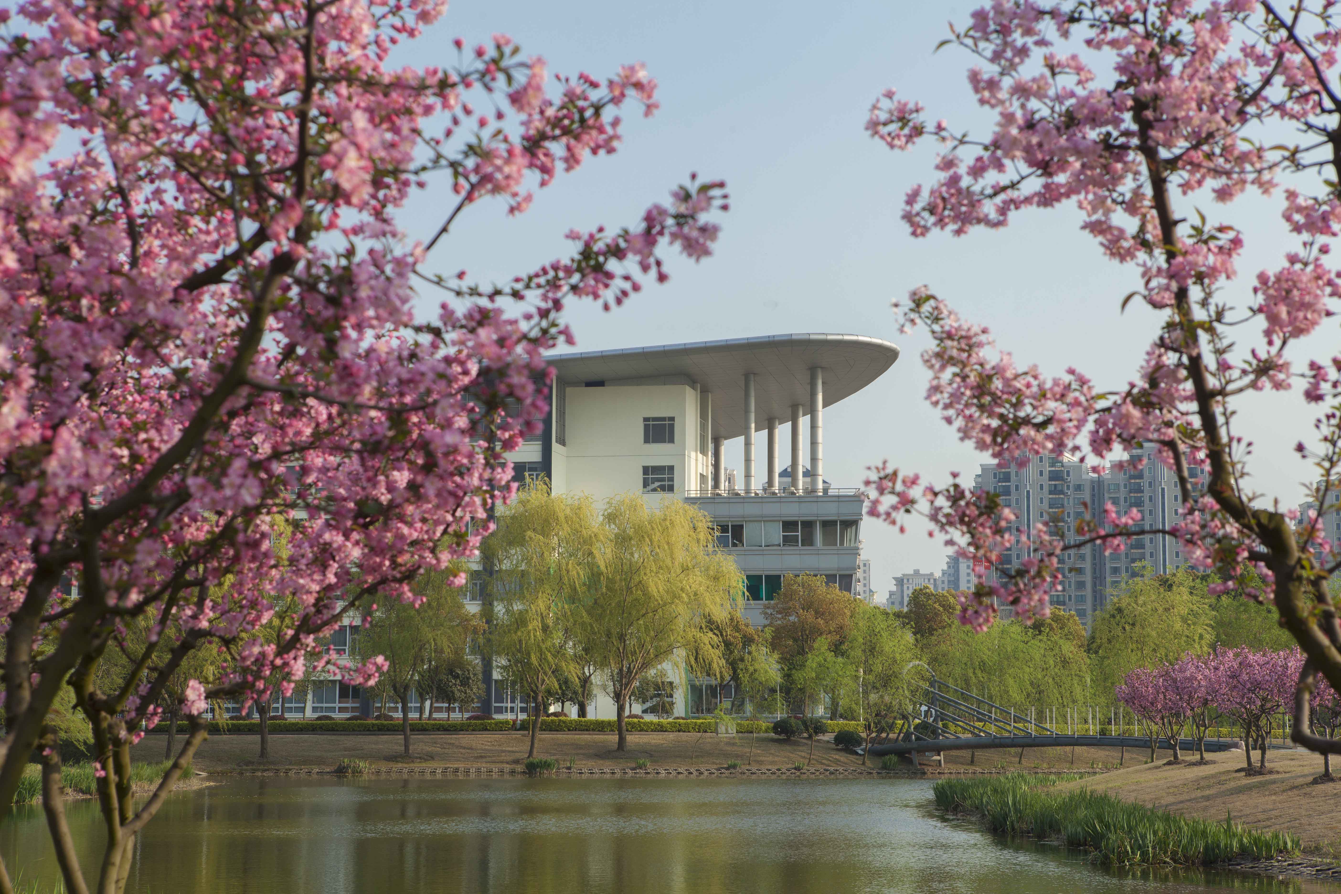 招生1024人学费5万元每年，上海艺术学院2021年录取数据分析