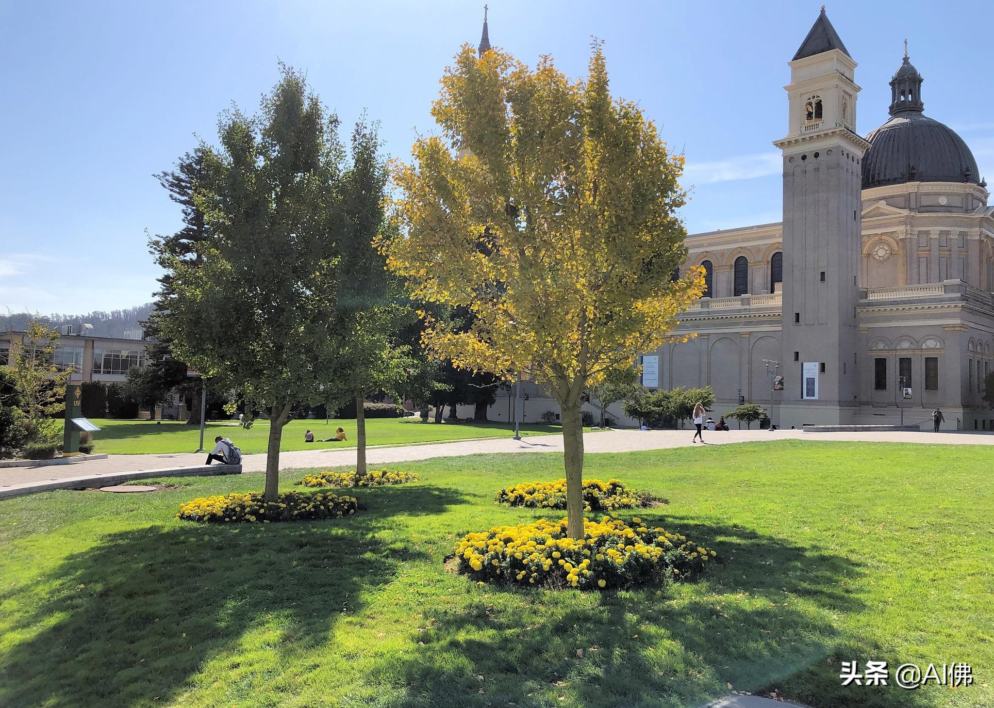 美国50所在大城市的最好大学