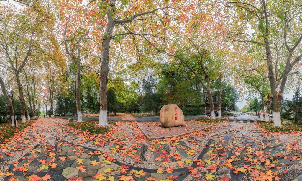 合肥工业大学本硕毕业生，谈谈心目中的合工大，值不值得报考