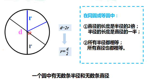 《圆》第一课时易错点集合：半径、直径的概念以及它们之间的关系