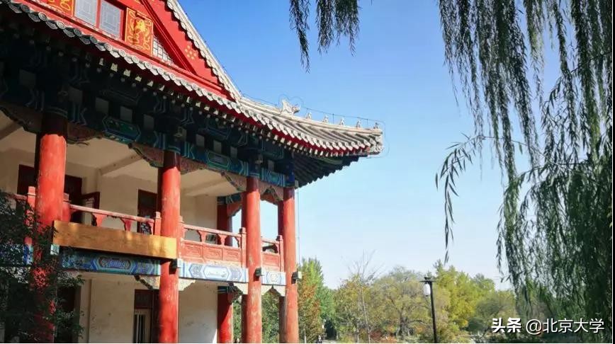 探园 | 燕园有多少个图书馆？