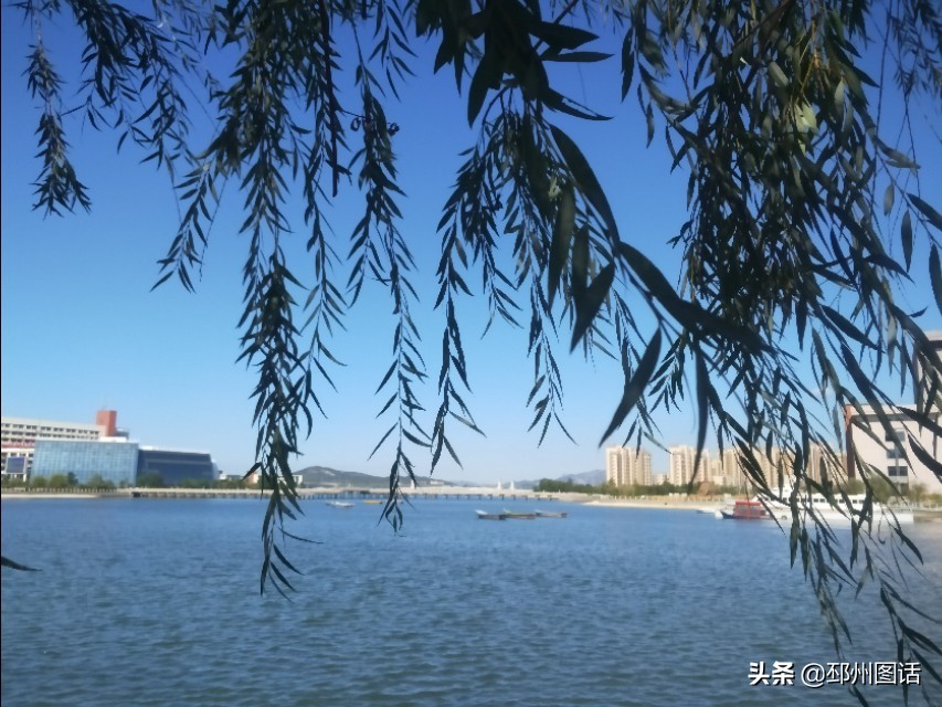 美丽的校园，威海职业学院