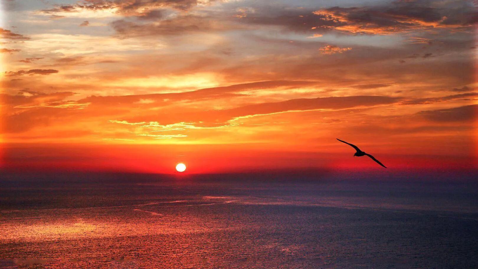 落霞与孤鹜齐飞 落霞与孤鹜齐飞意思-徐拾记官网