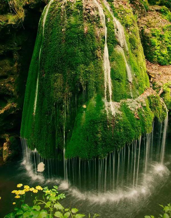 每日一诗《小池》赏析