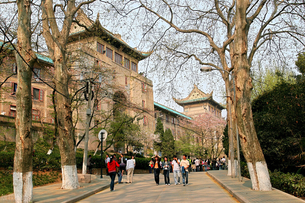 武汉大学2021年艺术类录取成绩合格线发布，附招生计划录取原则