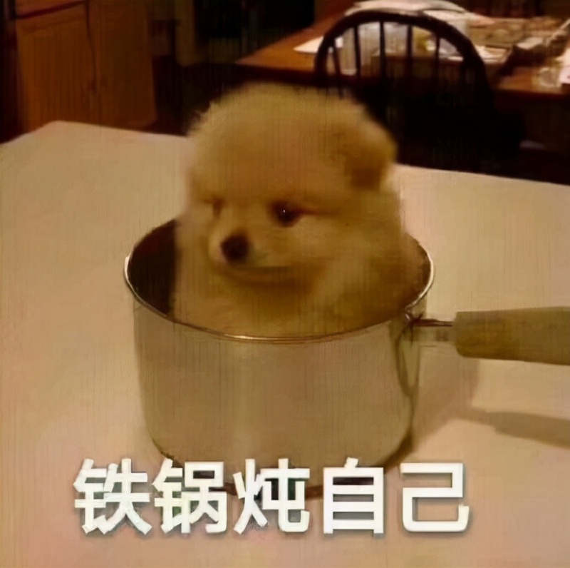 轻松一刻：关于泻火，我有话说