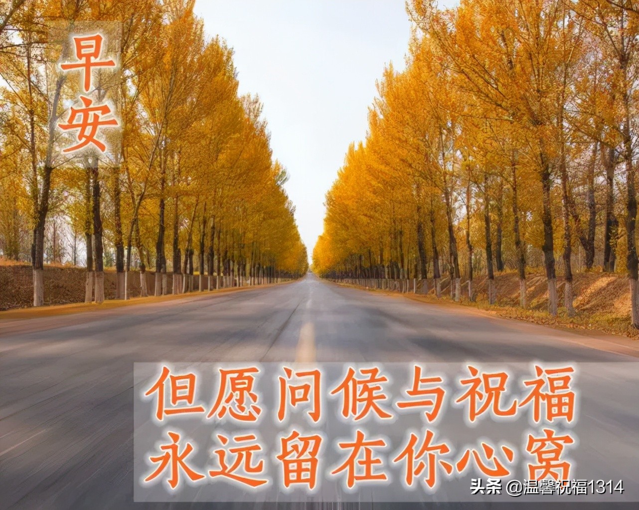 星期五清晨暖心问候祝福语句，最美的周五祝福文字图片精选