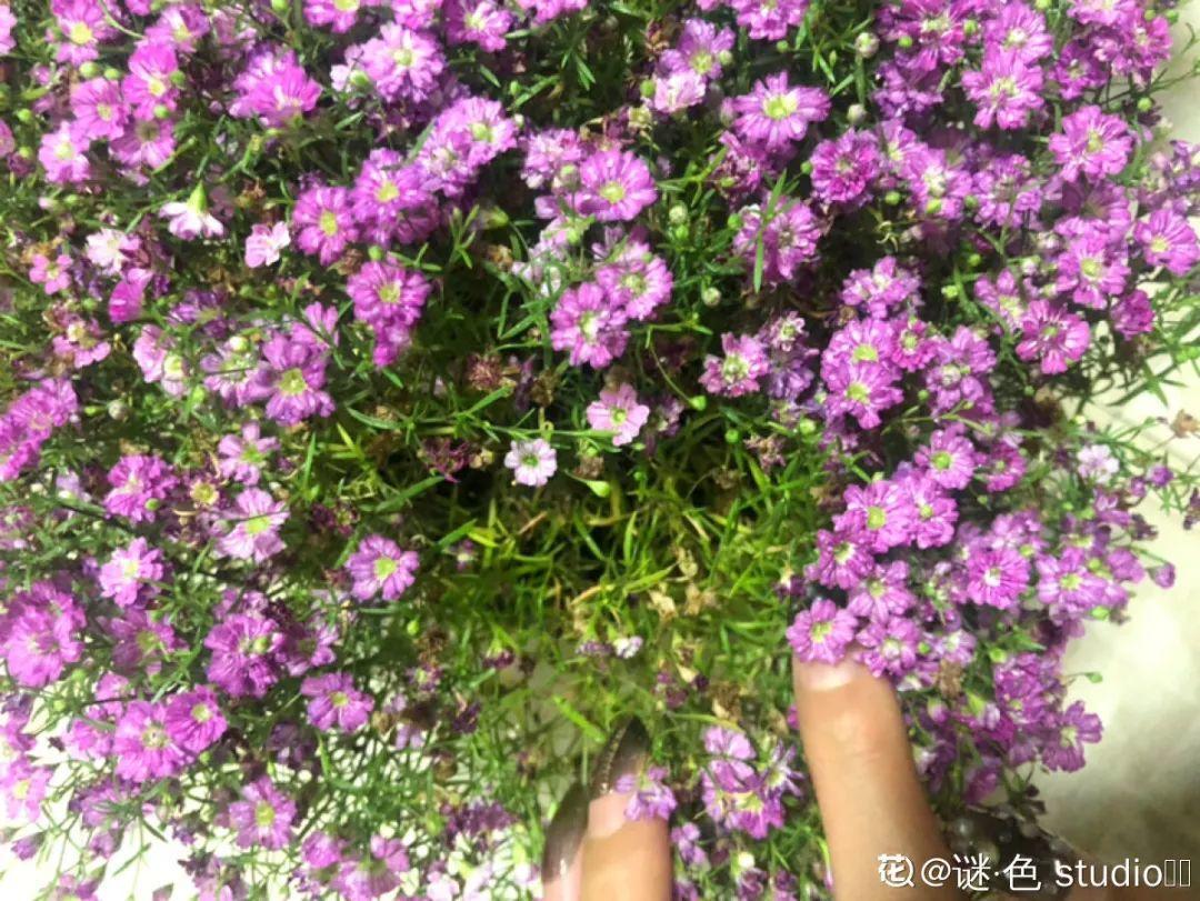 nba为什么浇水（天热了，花需水量太大，一天不浇水，立马死给你看）