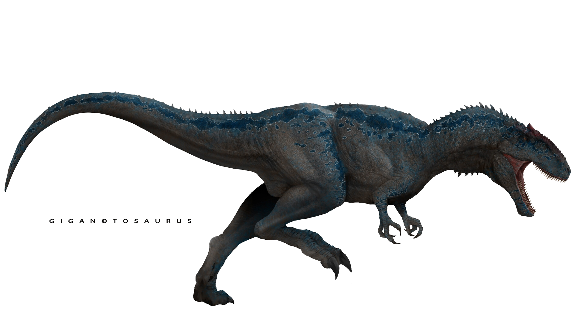 网络这个亚科里面与南方巨兽龙有近亲关系的三个,分别是鲨齿龙,魁纣龙