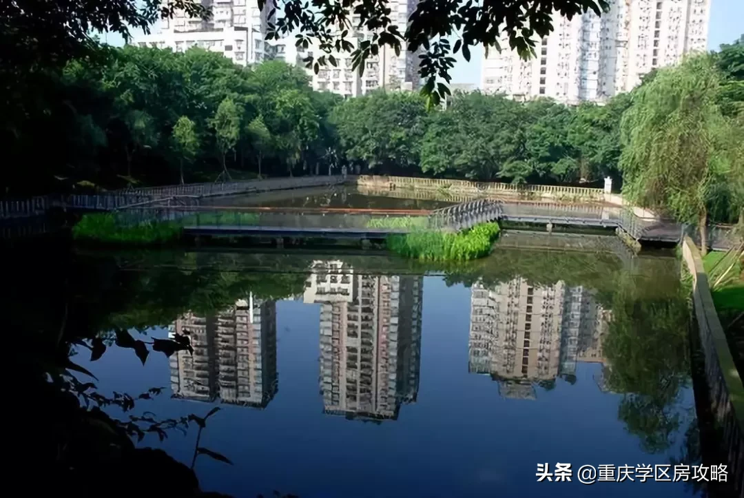 南岸区优质初中（上）