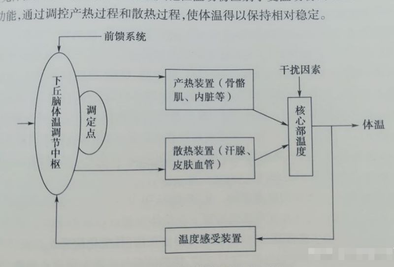 又一波寒潮来袭，到底咋穿娃才更暖和？加拿大妈妈来支招