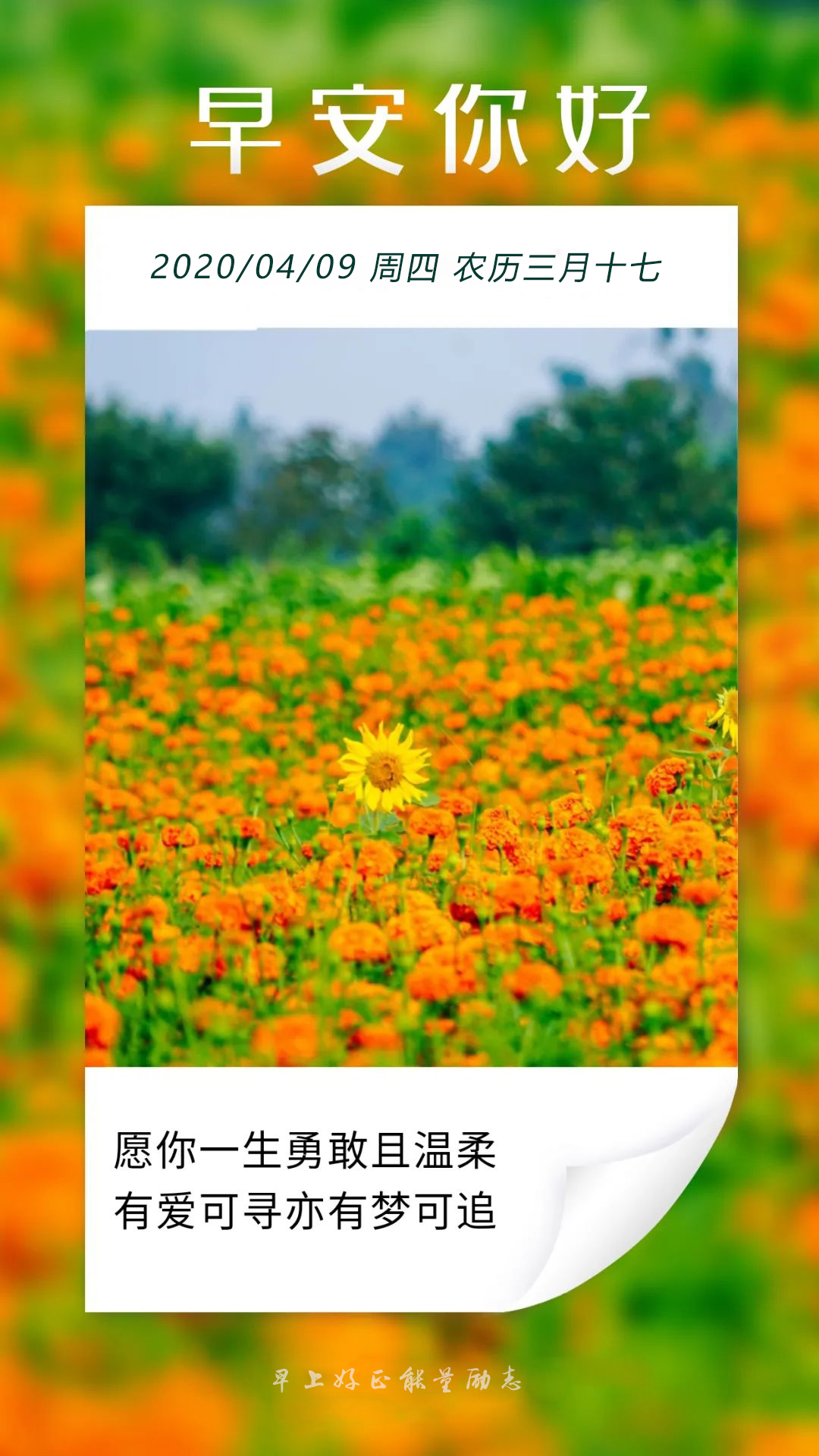 星期四阳光正能量早安图片日签加字：坚者自坚，强者自强