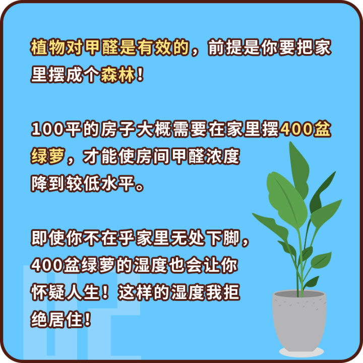 这些方法到底能不能除甲醛？你可能在无效除醛