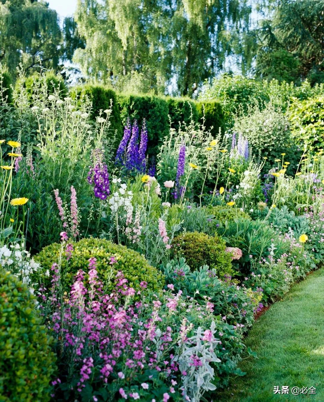 各地区常见景观植物种类汇总,干货满满,赶紧收藏