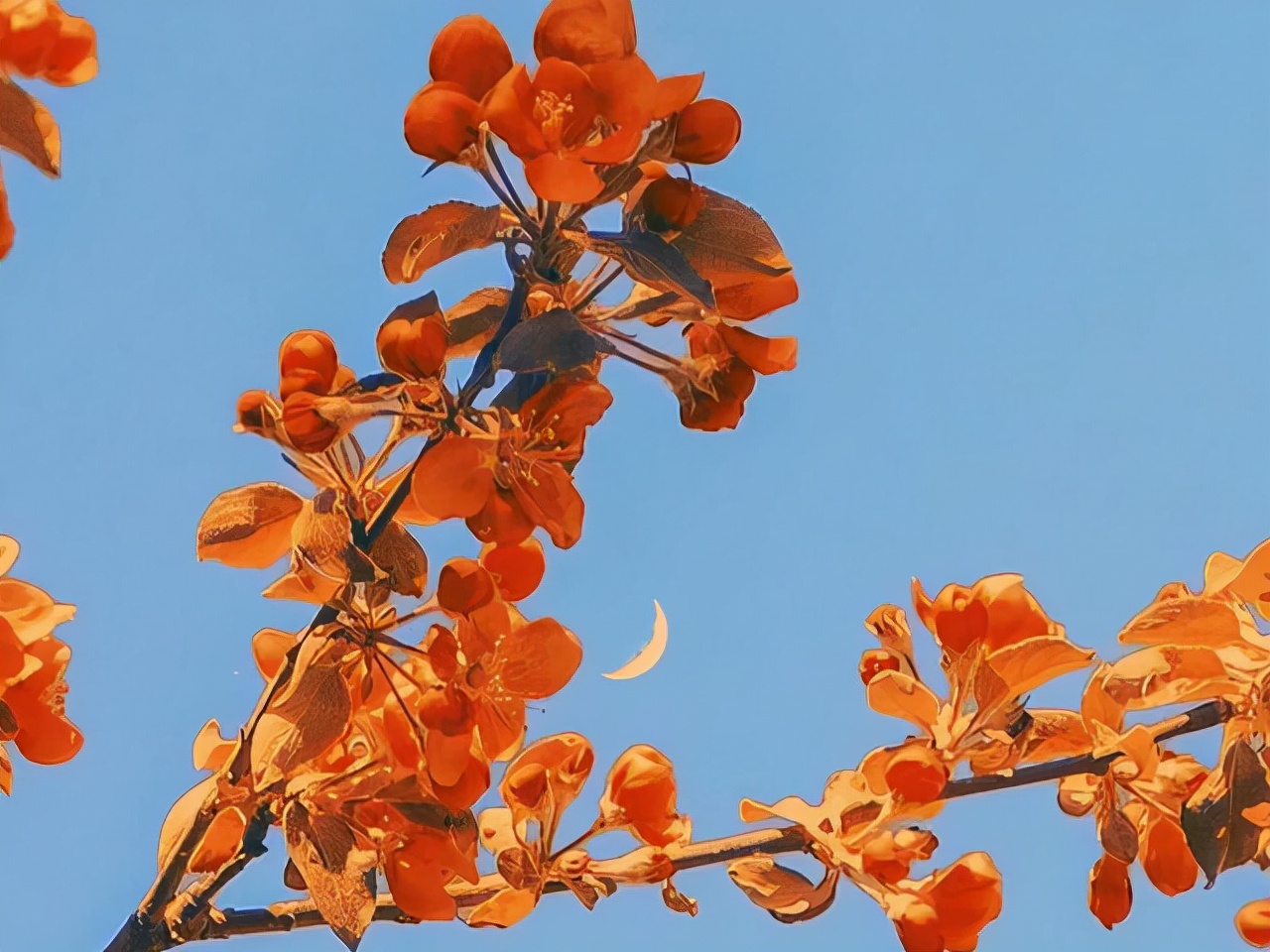 人生百味，随缘，随心，随意（感悟）