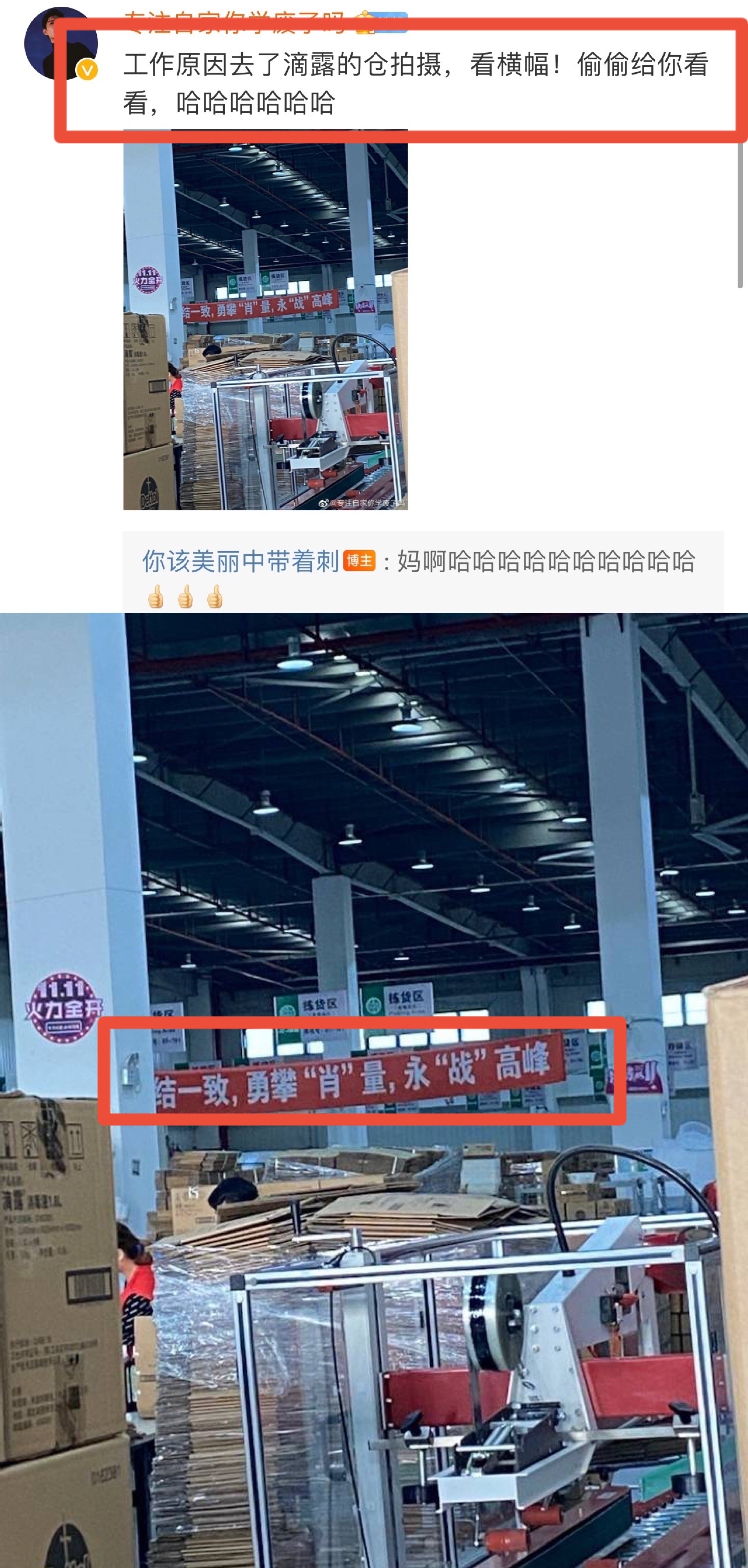 品牌很满意？肖战代言滴露，双11仓库拉“肖战”横幅喊口号很励志