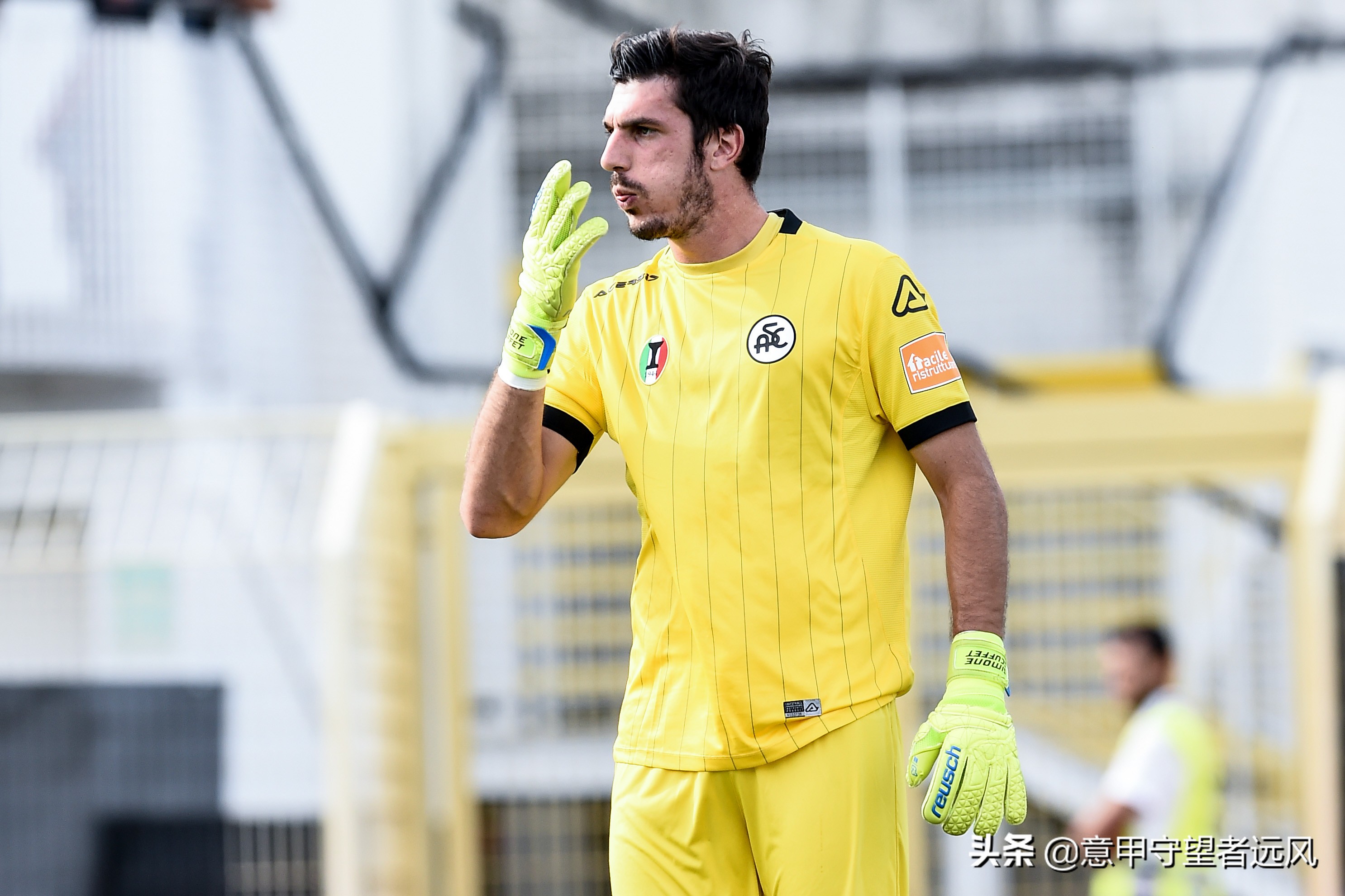 都灵中场塞格雷租借加盟切沃(揭秘意甲新军!