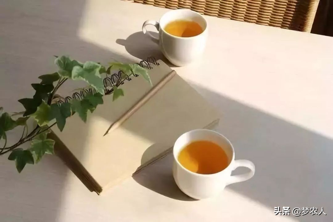 茶之道，茶知道，守一怀净土，盈一眸恬淡，因为懂得，所以慈悲