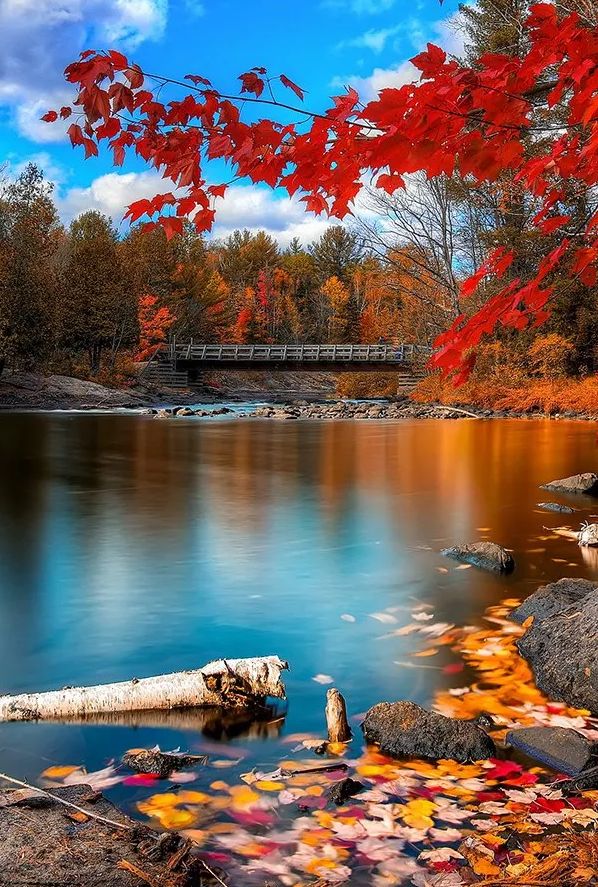 「诗词鉴赏」古诗词里的山中秋色，气象万千，摄人心魄的美丽