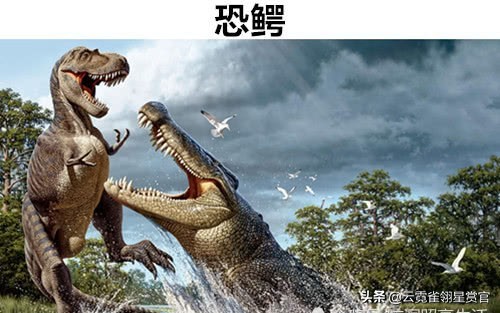 史前动物有多大?泰坦蟒体长15米,而巨齿鲨的体重达到70吨!