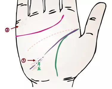 掌纹诊病：可以诊断肝癌、糖尿病、高血压、妇科病、脑溢血