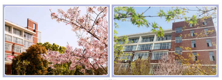 来武汉外语外事职业学院，出国不是梦