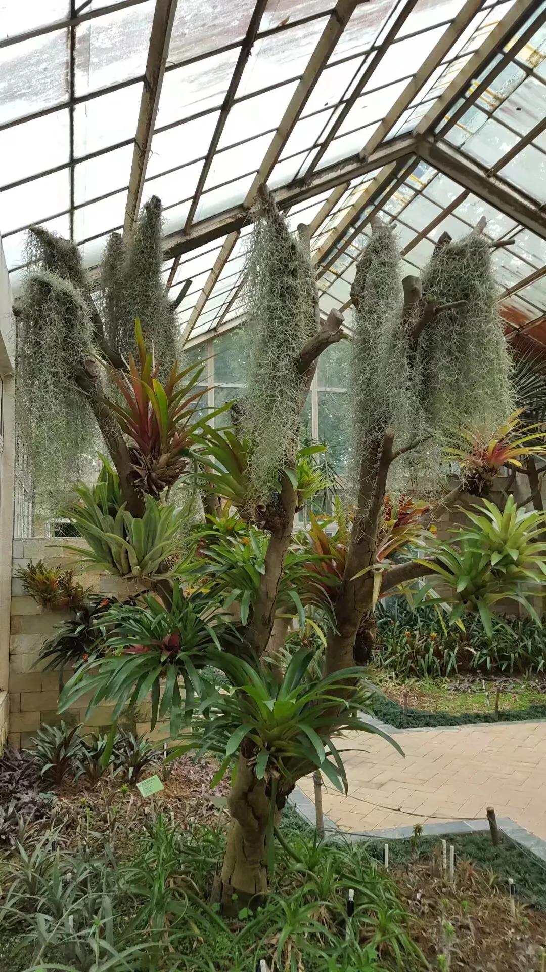 广州华南植物园 广州华南植物园烧烤场-徐拾记官网